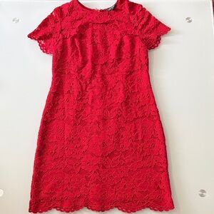 Lauren by Ralph Lauren Red Lace Short-Sleeve Shift Dress  Sz 12